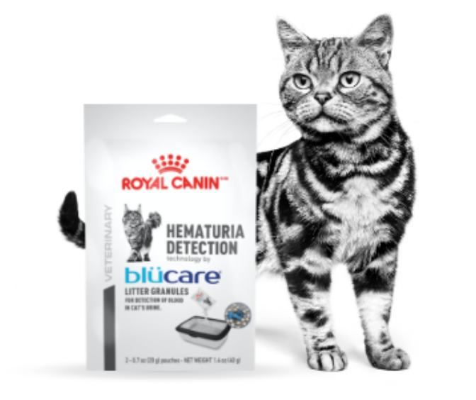 Royal canin outlet litter